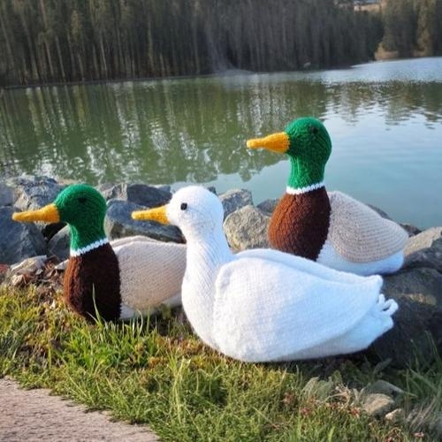 Knitted Lifelike Ducks