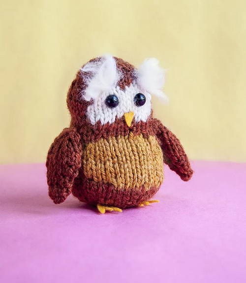 Tiny Explorer Owl