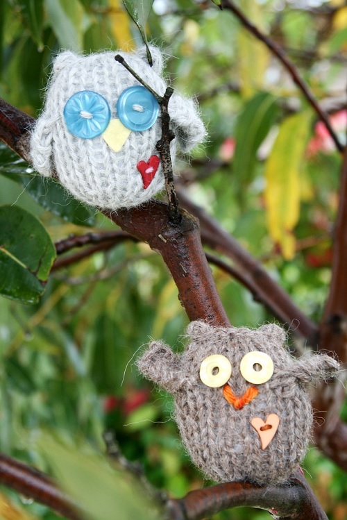 Knitted Owlet
