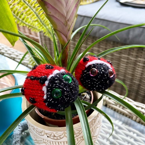 Linden Ladybird the Ladybug