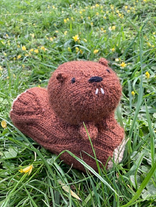 Knitted Beaver Free Patterns 1