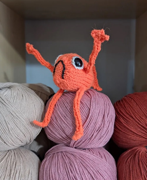 Poisson Steve Tricot