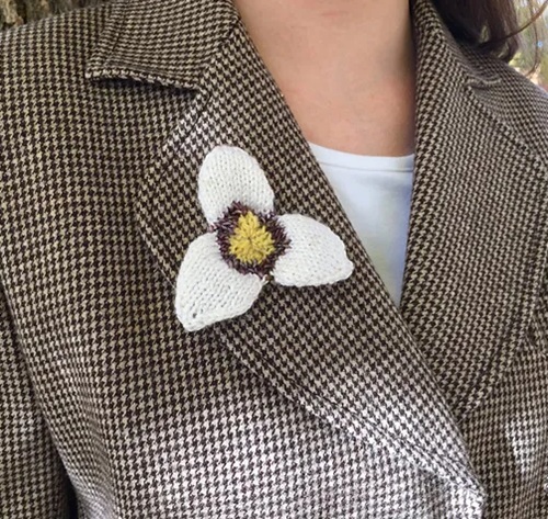 Sego Lily
