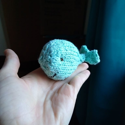 Intrepid whale