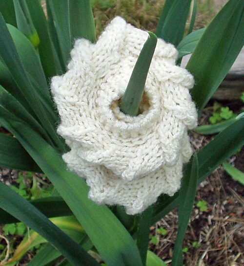 Dragon Free Knitting Patterns