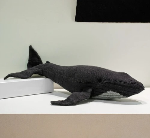 Hazel the Humpback Whale