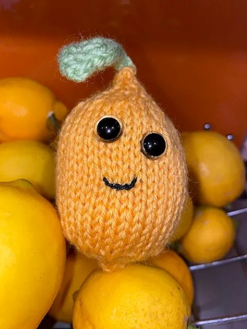 Adorable Scrap Yarn Lemon