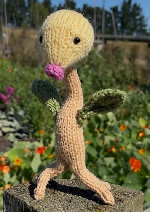 Bellsprout Pokemon
