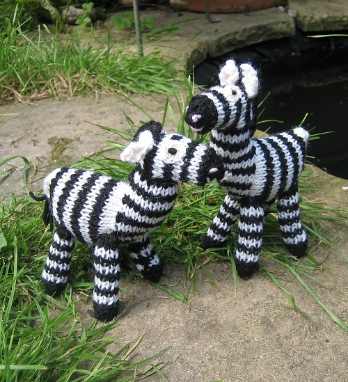 zebra pair
