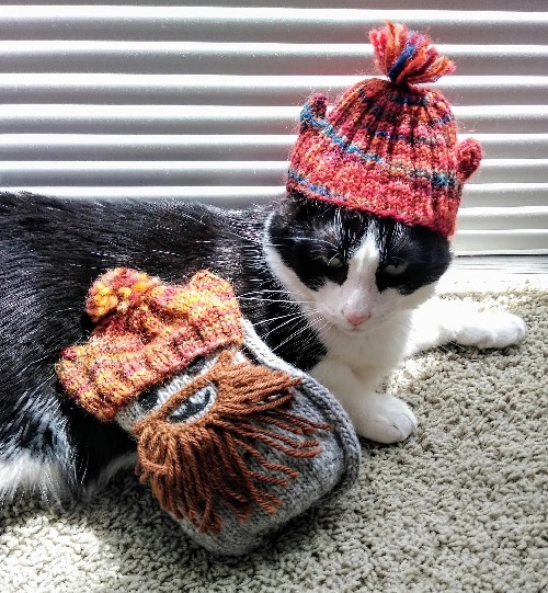 Knitted Hat for Cats Free Patterns