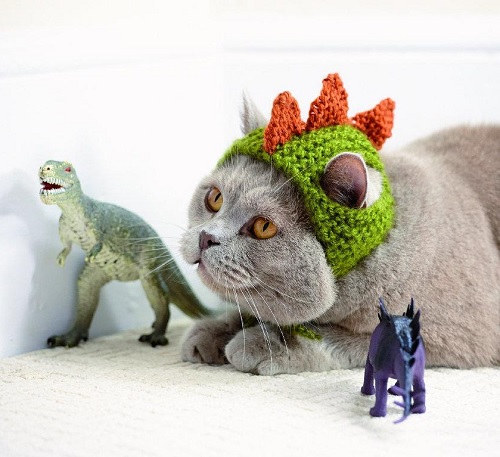 Knitted Hat for Cats Free Patterns 2