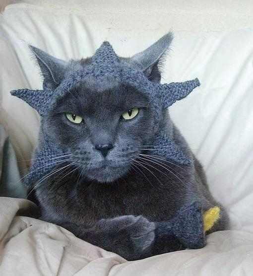 Spiky Cat Hat