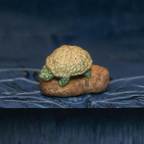Micro Turtle