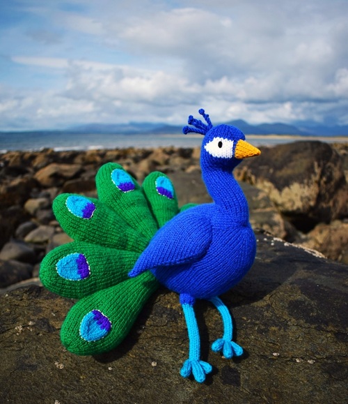 beautiful Peacock Free Knitting Patterns