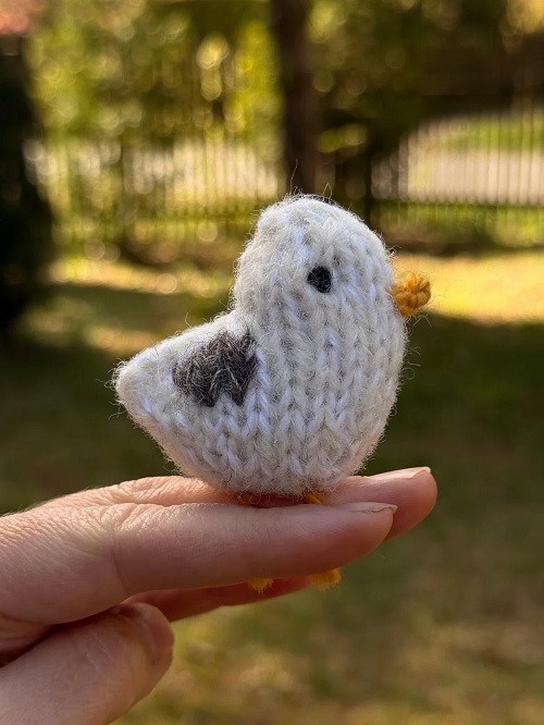 pocket seagull