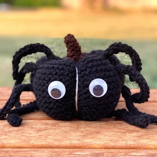 Lil Monster Spider Pumpkin