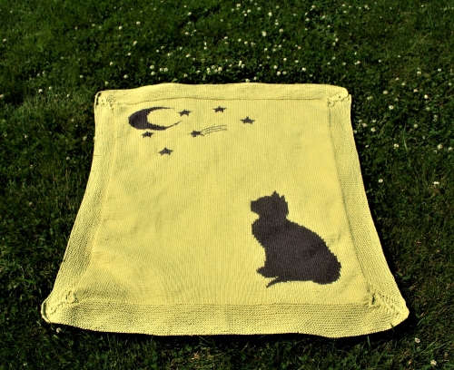 Professor McGonagall Themed Baby Blanket
