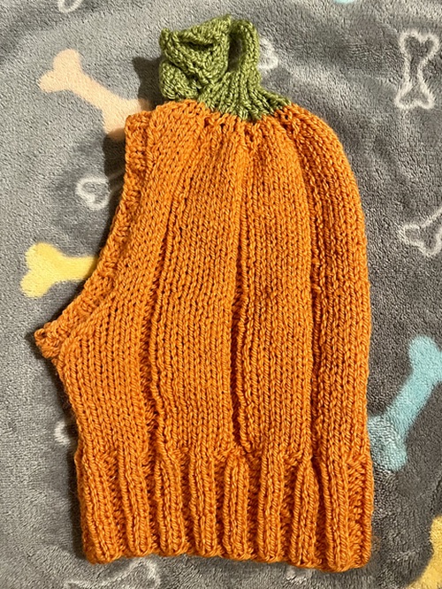 Pumpkin Dog Snood